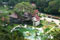 Tree Tops Resort