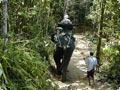 Khao Sok Discovery