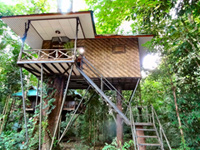 Tree Tops Resort