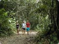 Wilderness Adventure